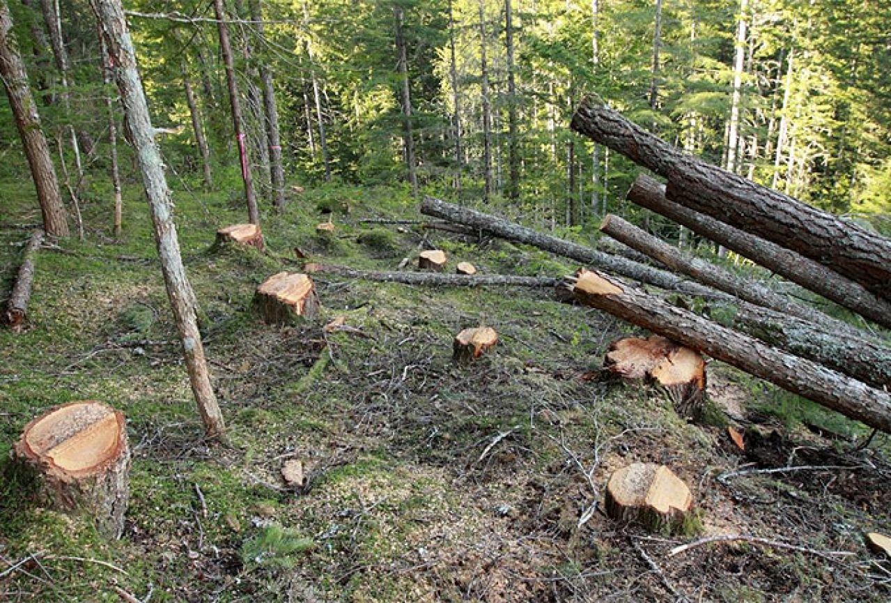 Radovi se izvode samoinicijativno i nenajavljeno - Avaz