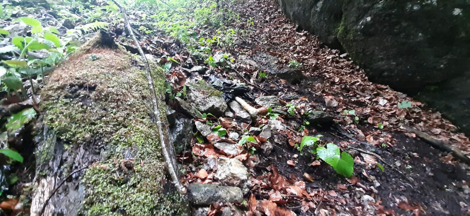 Na Vlašiću pronađena lokacija s posmrtnim ostacima više osoba - Avaz