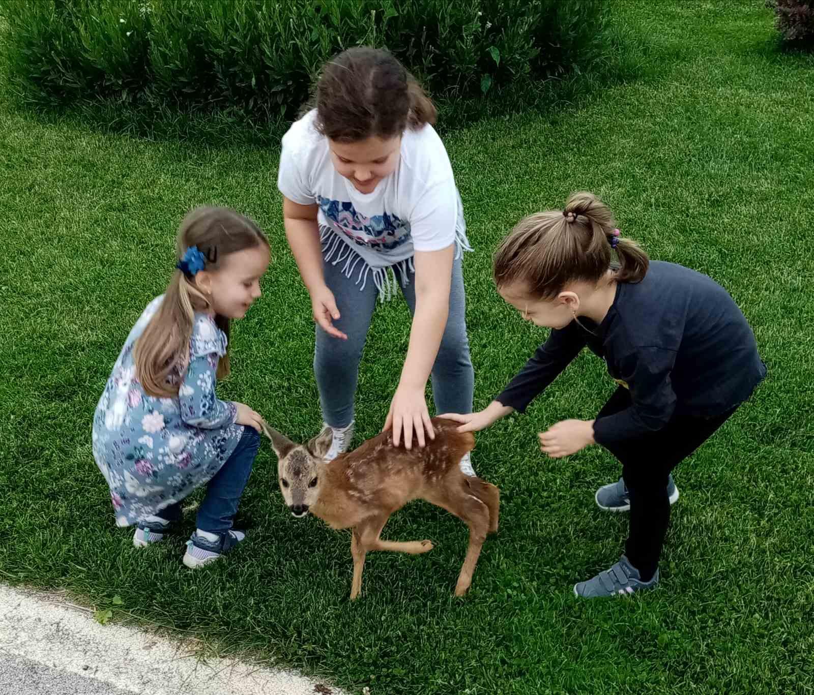 Radost u ZOO Bingo Tuzla: Lane oduševilo djecu