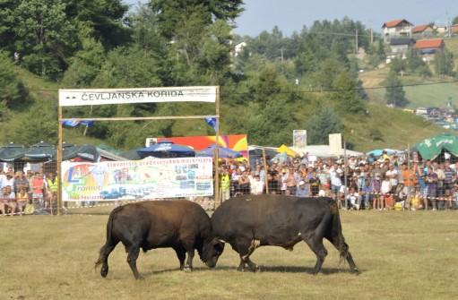 Ove godine bez koride na Čevljanovićima - Avaz