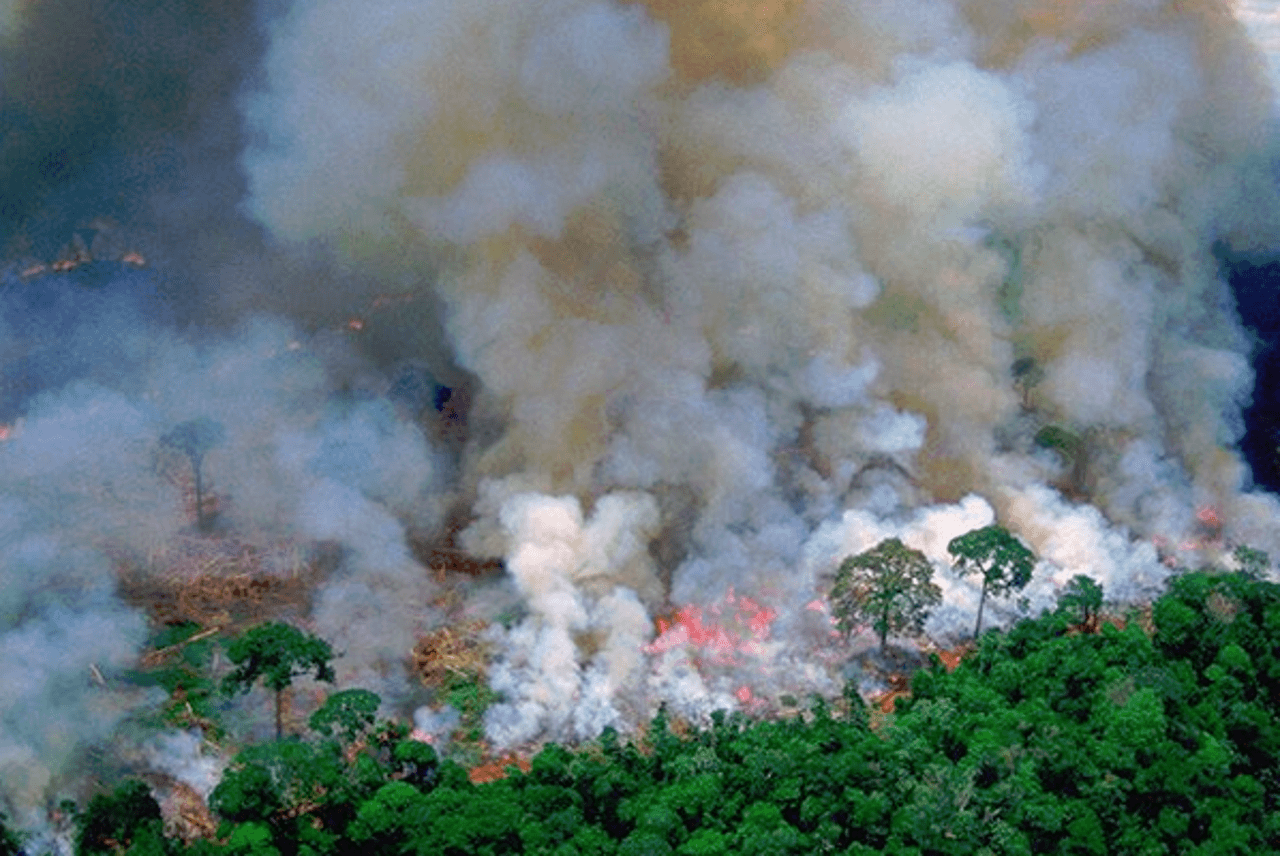 Velika šteta - Avaz