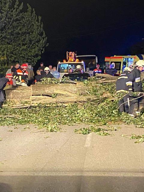 Jak vjetar lomio stabla, jedno palo na auto u vožnji