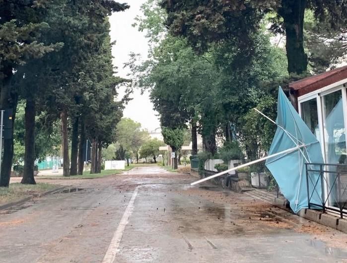 Vjetar čupao stabla - Avaz