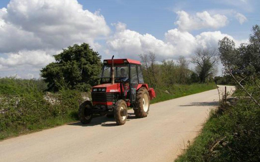 Polomio znakove na regionalnom putu - Avaz