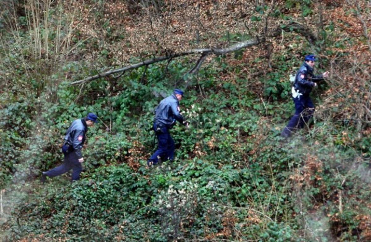 Travničanin poginuo u sječi drva kod Šipova