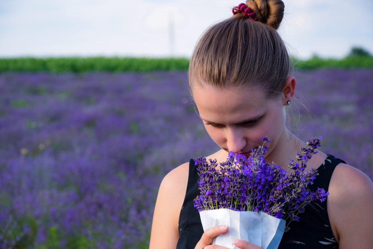 Mirisna mediteranska ljepotica, lavanda, idealna je za umirivanje tijela i uma - Avaz