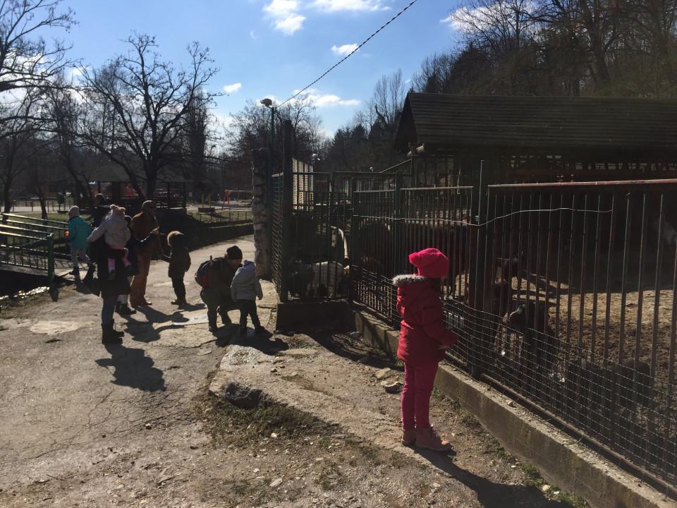 Pionirska dolina neće prodavati životinje