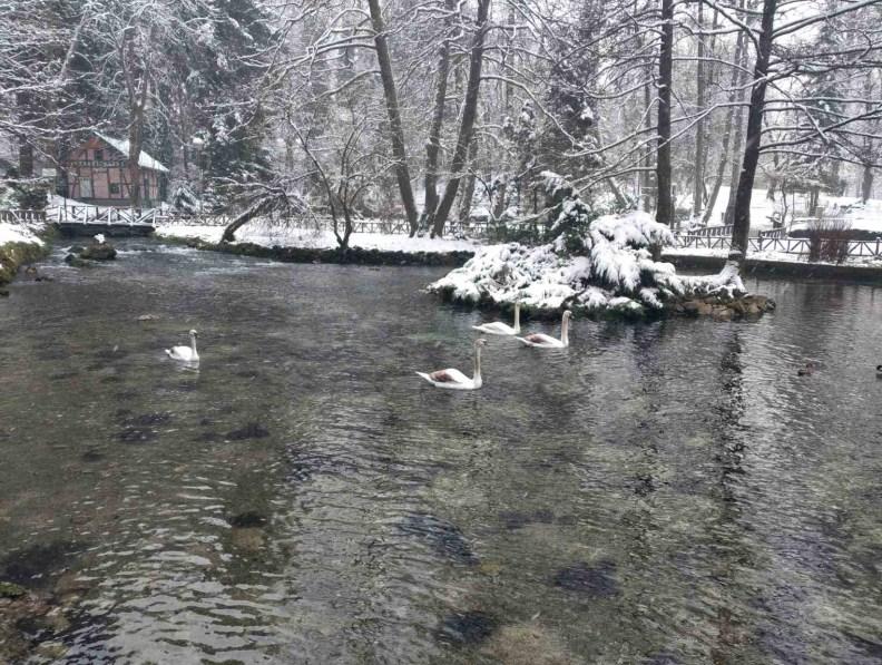 Sbijeg na Vrelu Bosne i u Pionirskoj dolini - Avaz