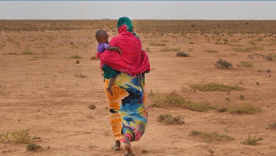 The loss of livestock also further exposes children in Somalia to the risk of malnutrition as they have less access to milk, Save the Children said - Avaz