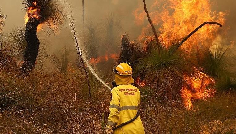 Fire crews fight bush fires in Perth, Australia, on February 2, 2021. - Avaz