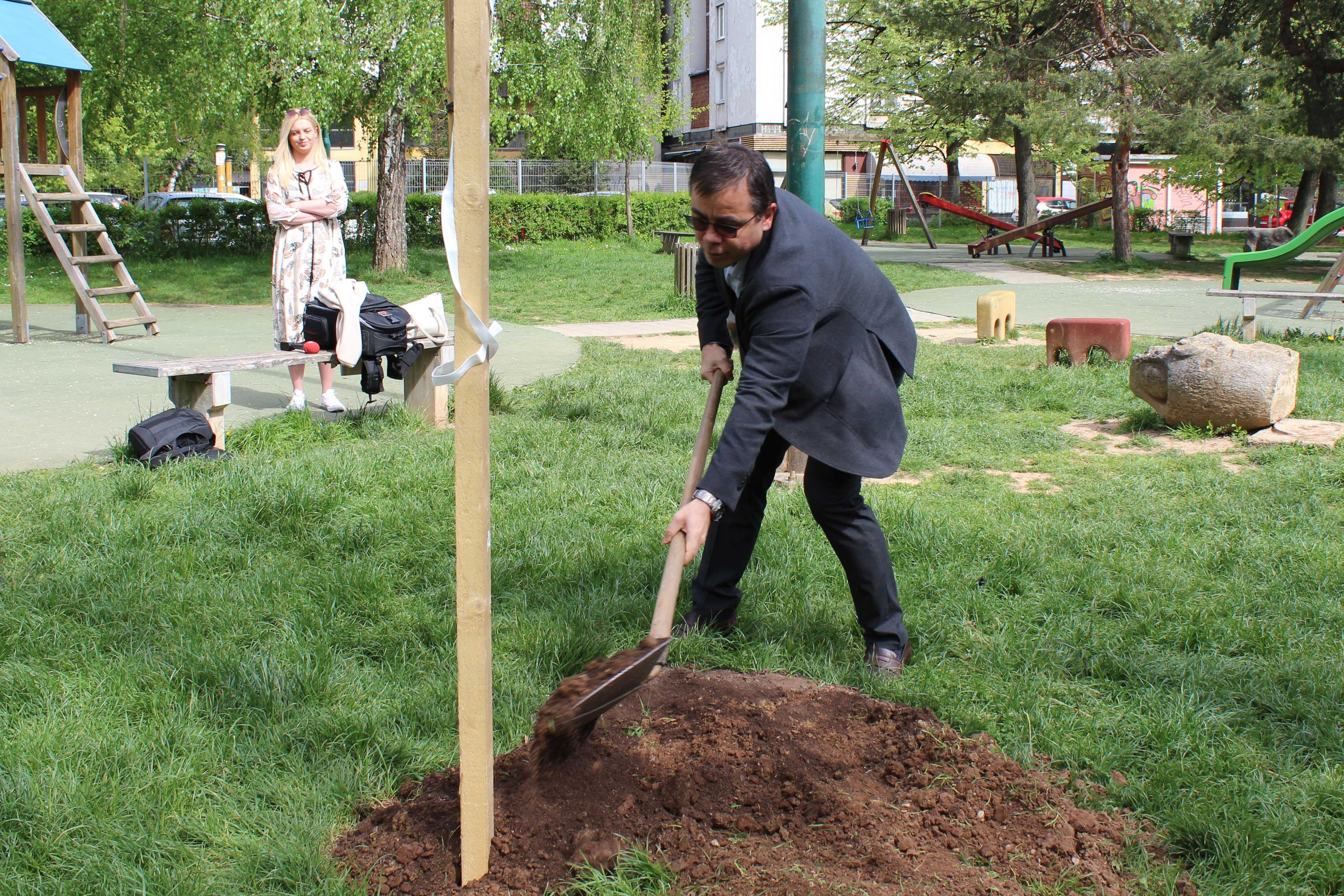 U Novom Sarajevu posađene sadnice crvenolisnog javora - Avaz