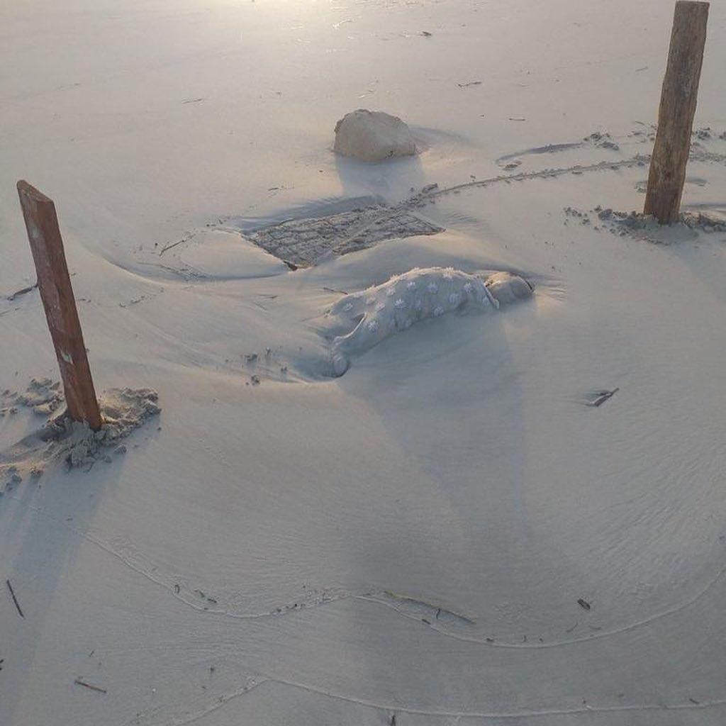 Plaža u Libiji na kojoj su pronađena utoljena tijela - Avaz