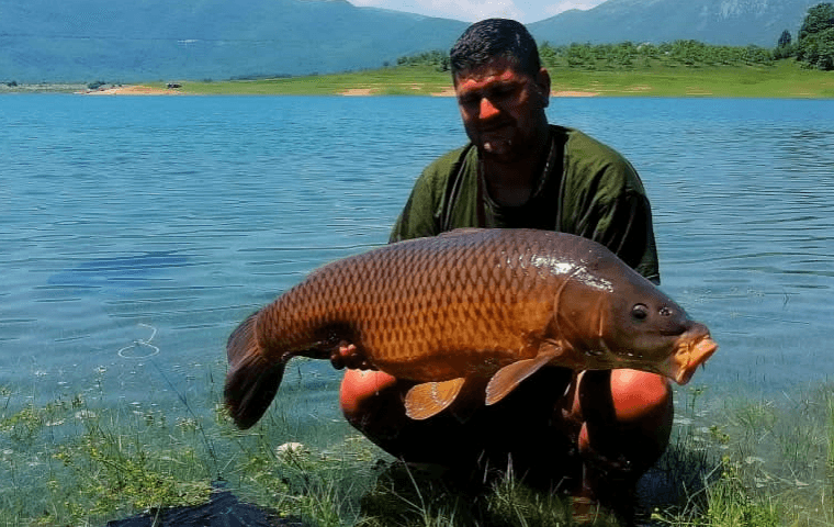 Upecao šarana od 17,5 kilograma na Ramskom jezeru