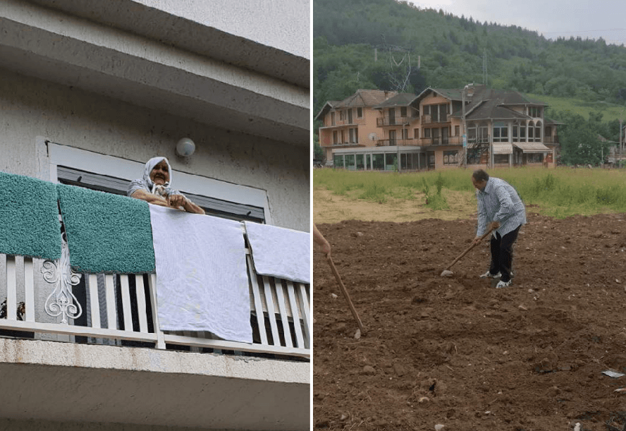 Posađene su lale u obliku broja 25 - Avaz