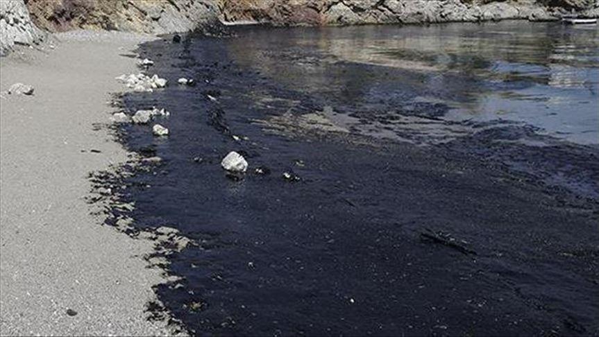 Indian Coast Guard on alert after oil spill off southern coast