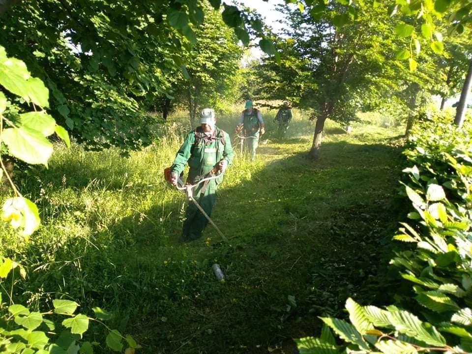 Radnici "Parka" na terenu - Avaz