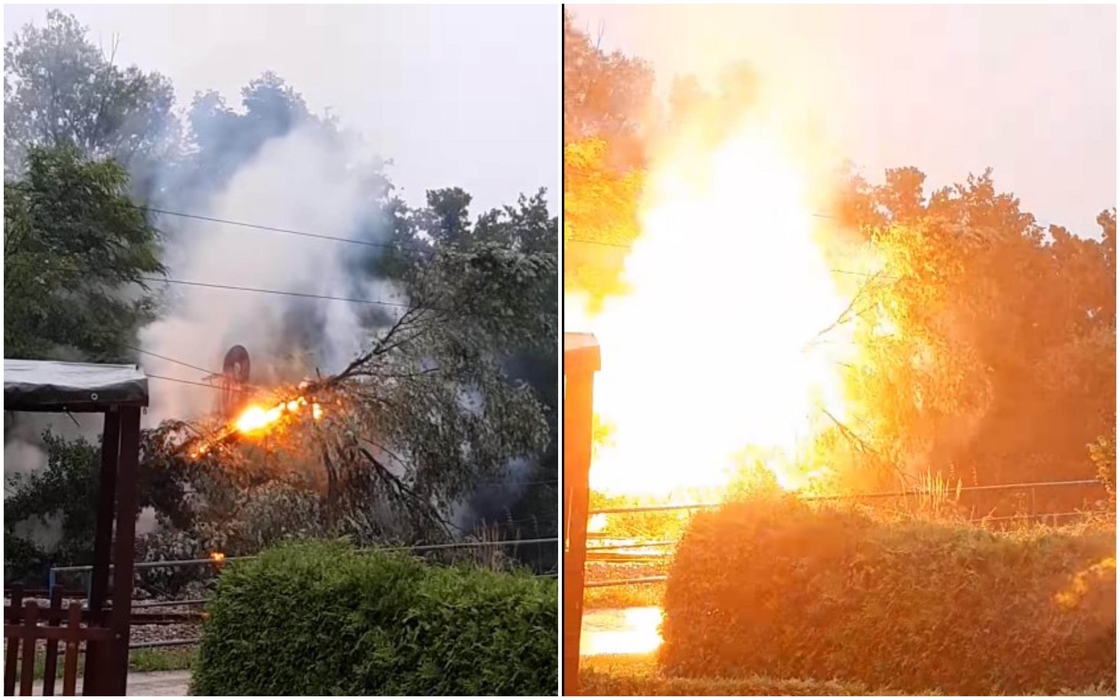 Stablo palo na visokonaponsku mrežu pa izazvalo požar i prekid željezničkog saobraćaja