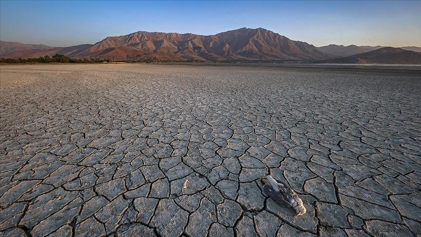 G20 meeting to focus on climate change, sustainable water use