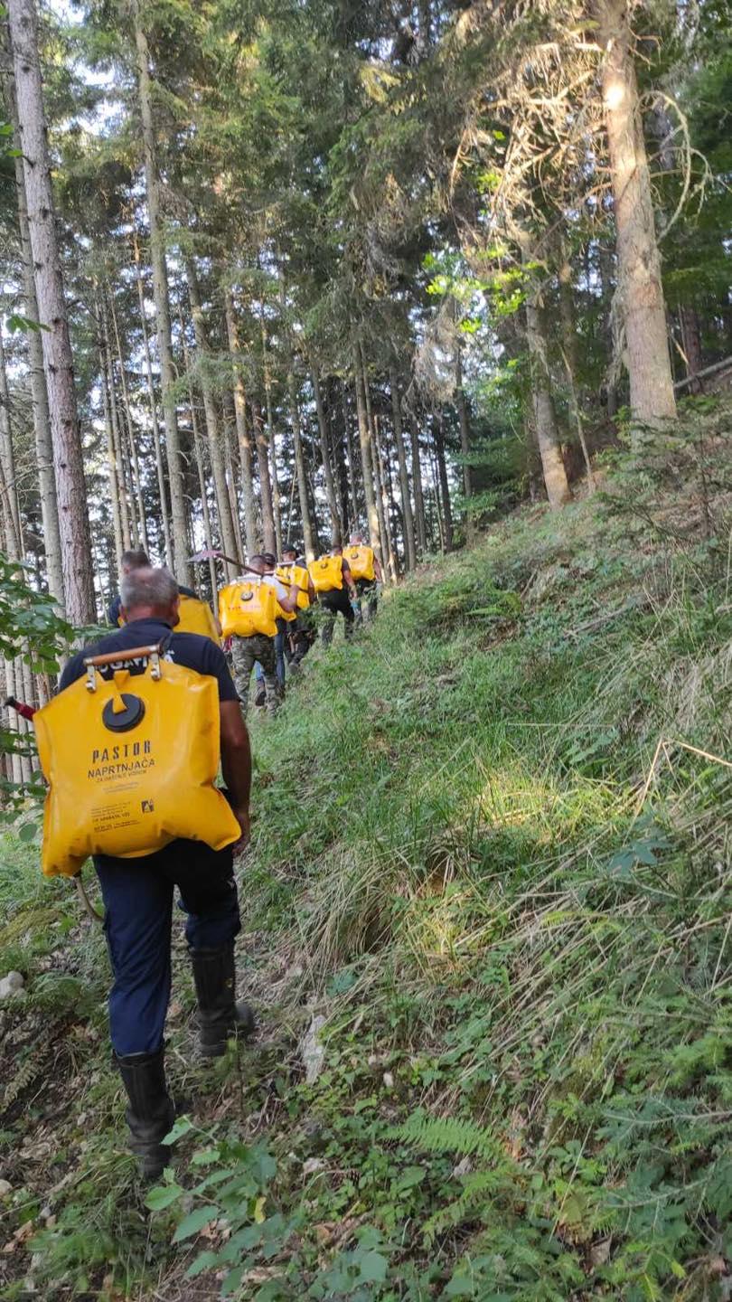 Požar na lokalitetu Veliki Stolac: Ugroženo najstarije drvo u Evropi