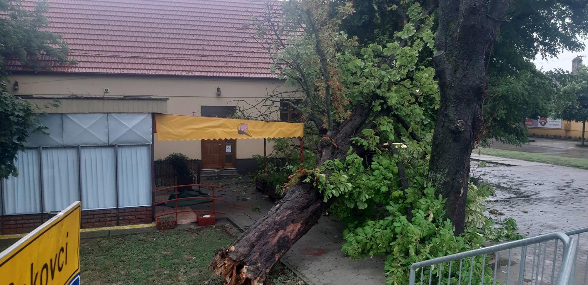 Hrvatsku pogodilo veliko nevrijeme, vjetar obarao drveće i rušio krovove