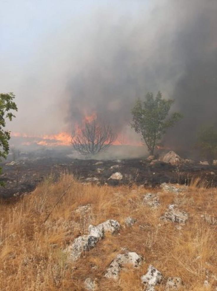 Za sada se ne očekuje da će vatra ugroziti kuće - Avaz