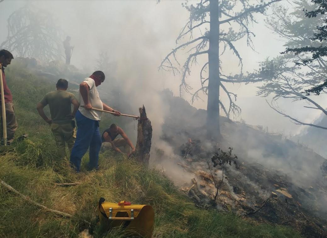 Borba s vatrom na platou Čvrsnice - Avaz