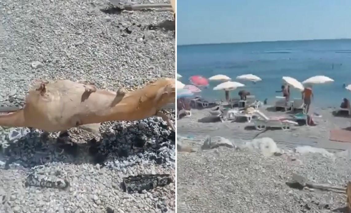 Turisti su sve maštovitiji kada je riječ o ručku na plaži - Avaz