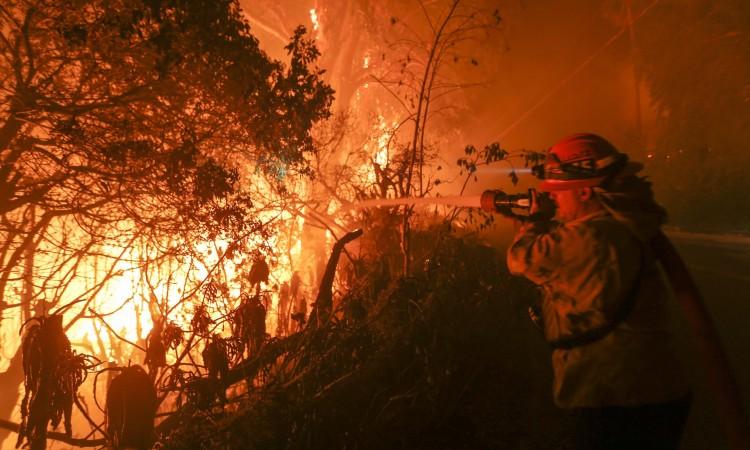 Ekstremni vjetrovi razbuktavaju požare u Kaliforniji: Ugljenisano 604.000 hektara šume