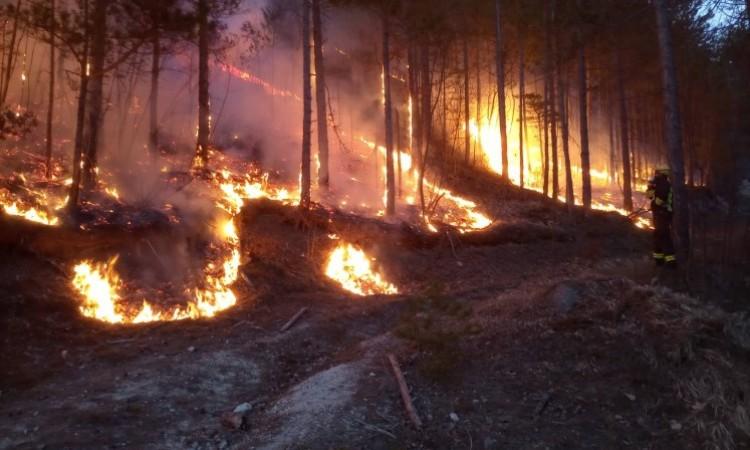 Aktivan požar na lokaciji Derane kod Stoca