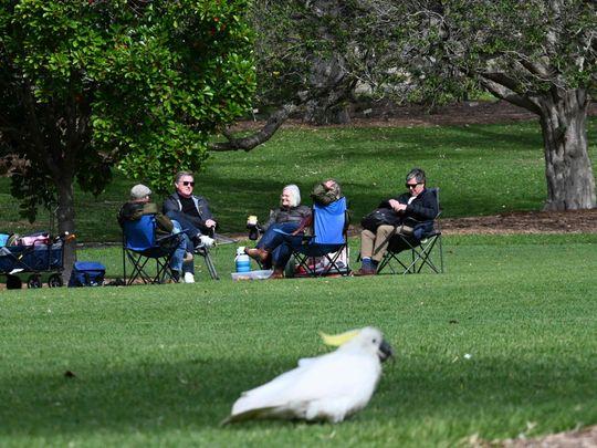 People picnic at the Royal Botanic Garden in Sydney after lockdown rules were eased - Avaz