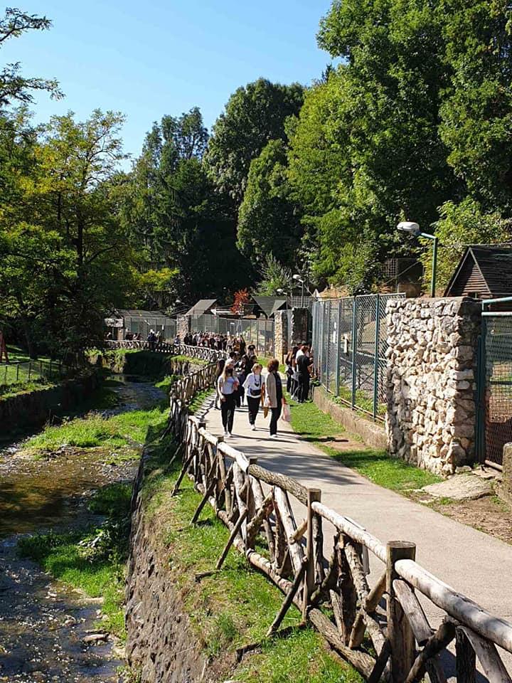 Srednjoškolci uživali u druženju s životinjama - Avaz