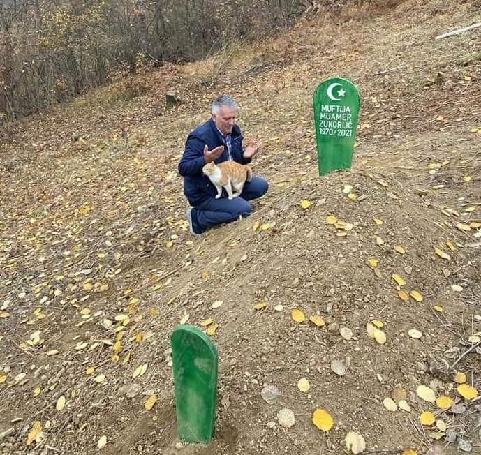 Zukorlić je bio poznat kao veliki ljubitelj životinja - Avaz