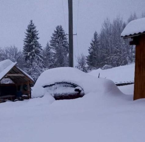 Trenutna situacija u selima u blizini Olova - Avaz