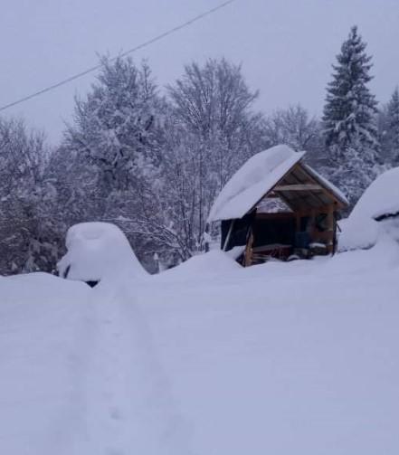 Trenutna situacija u selima u blizini Olova - Avaz