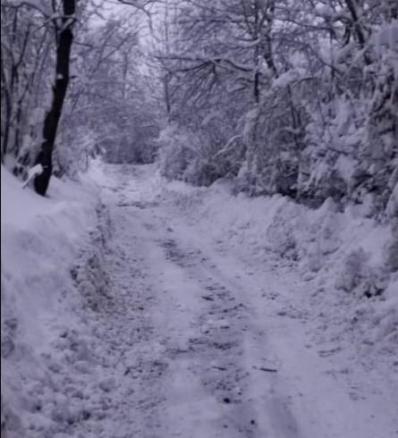 Trenutna situacija u selima u blizini Olova - Avaz