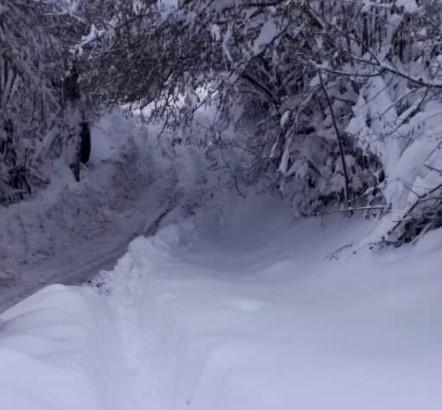 Trenutna situacija u selima u blizini Olova - Avaz