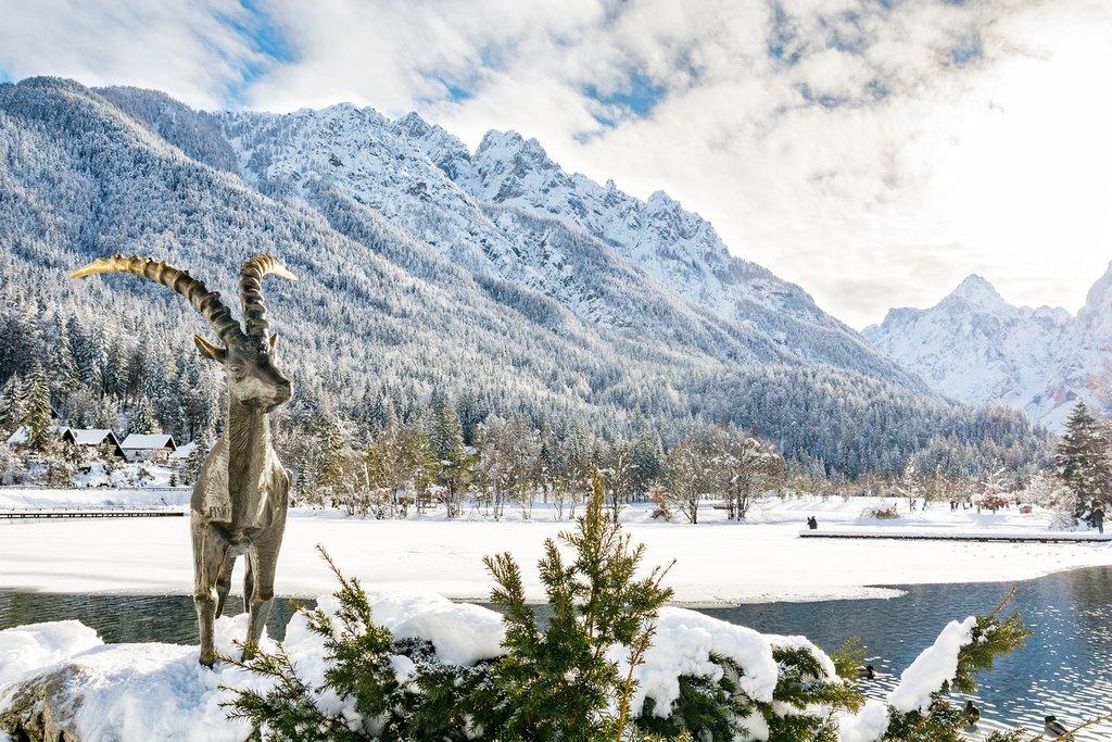 Kranjska Gora - Avaz