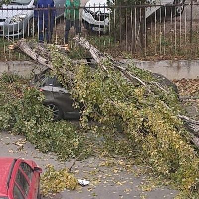 Upaljen narandžasti meteoalarm: Ove dijelove BiH će pogoditi vjetrovi jačine i do 80 kilometara na sat