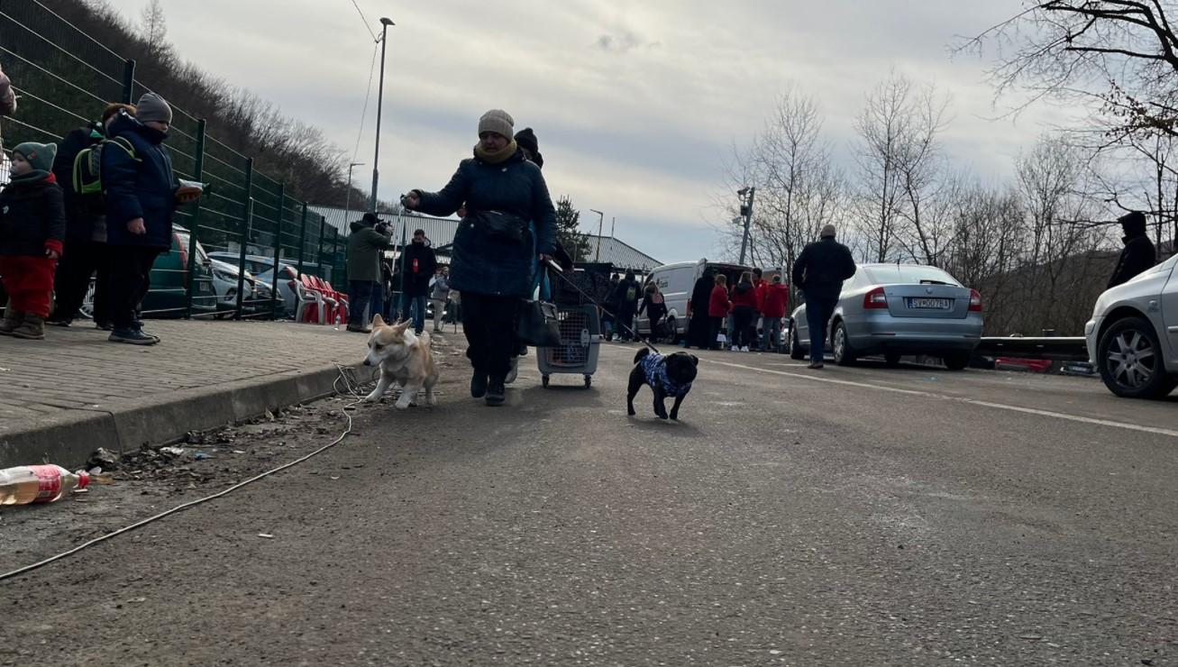 Prvi ljudi koji su krenuli dolaziti na granice oni koji imaju obitelj i prijatelje u susjednim zemljama - Avaz