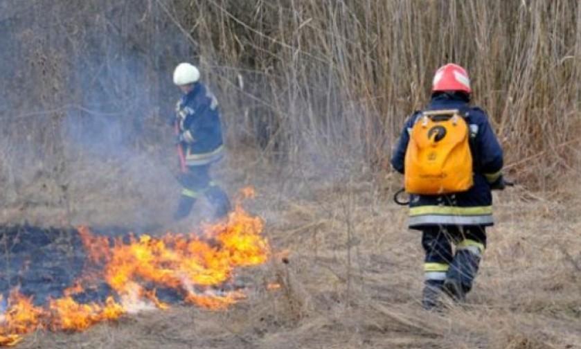 Gorjeli su trava, nisko rastinje, borova i bukova šuma - Avaz