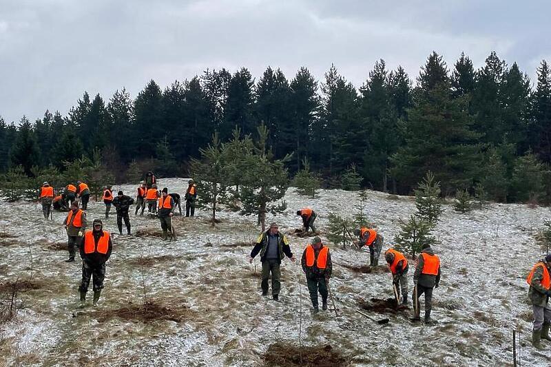 Sa današnje akcije pošumljavanja - Avaz