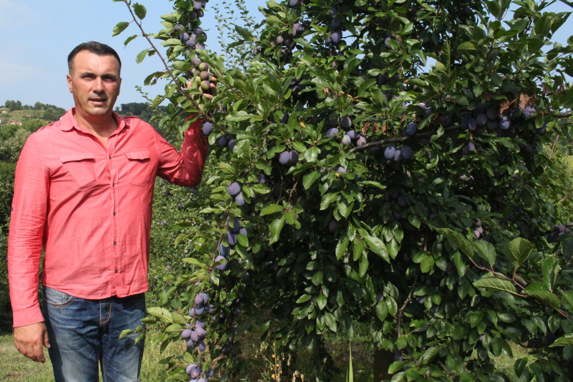 Sinanović: Proveo sve agrotehničke mjere - Avaz