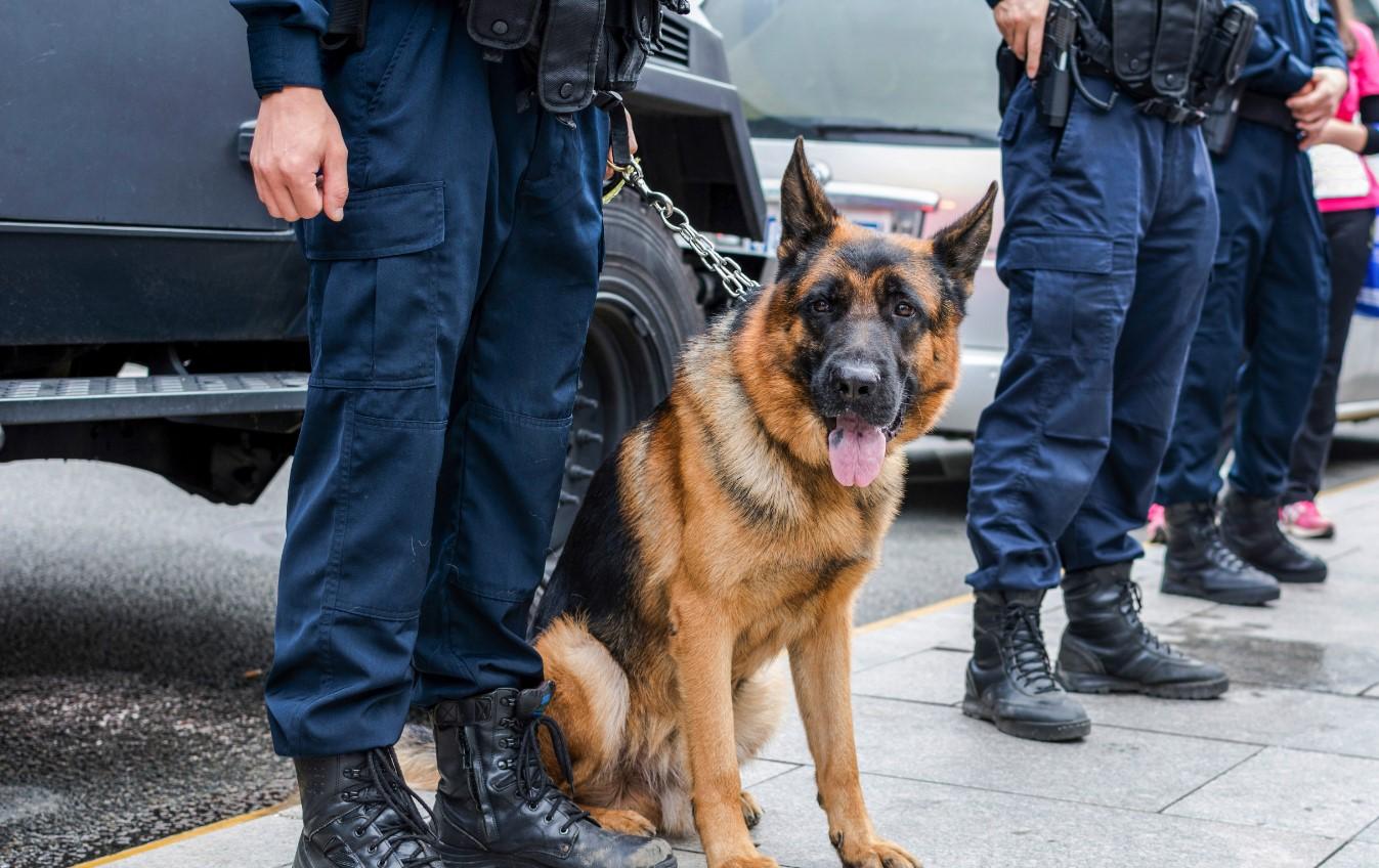 Hapšenje u Gambiji zbog dojava bombi u Srbiji