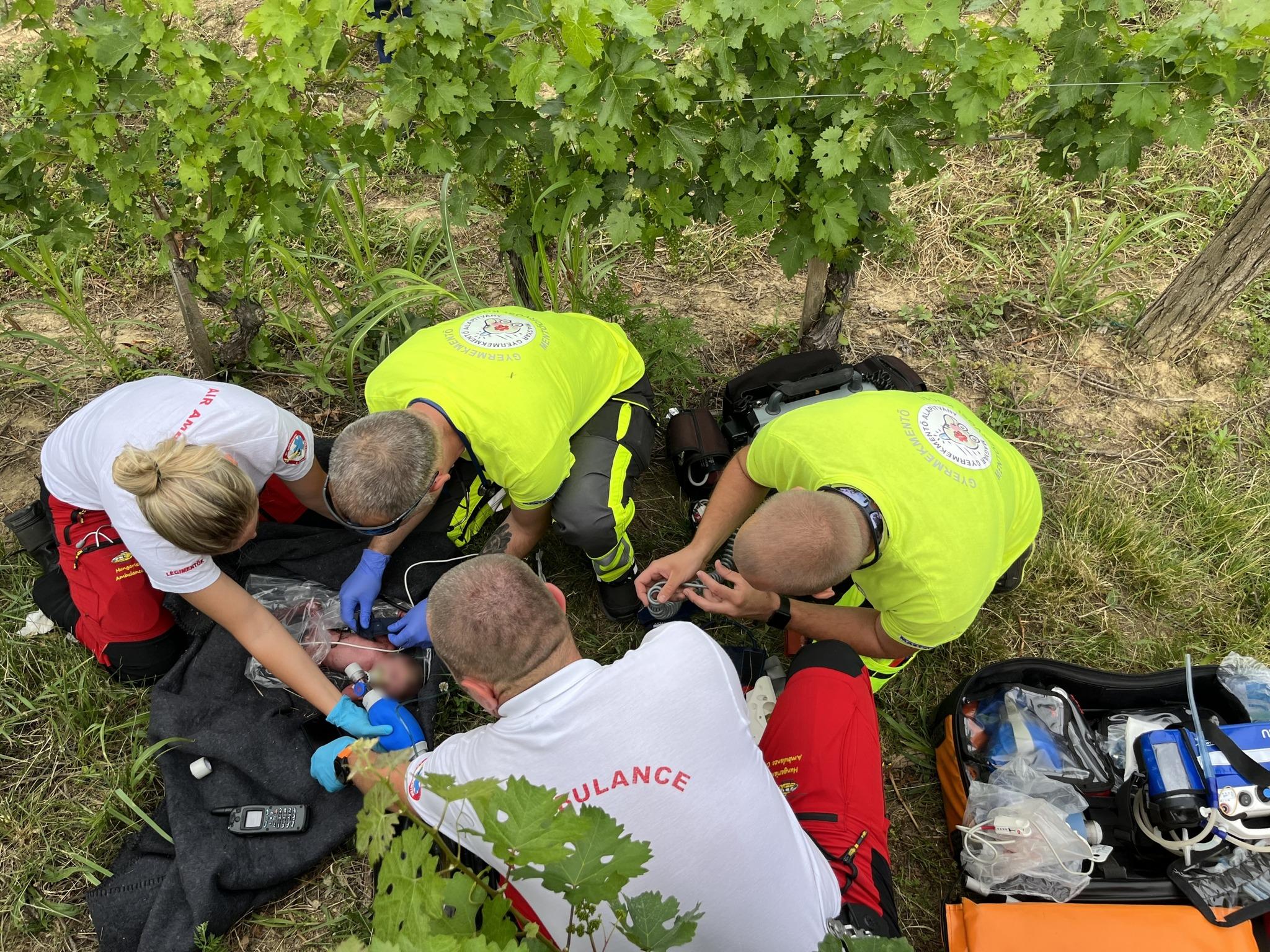 Uznemirujući video / Porodila se u vinogradu, ostavila dijete i pobjegla preko granice