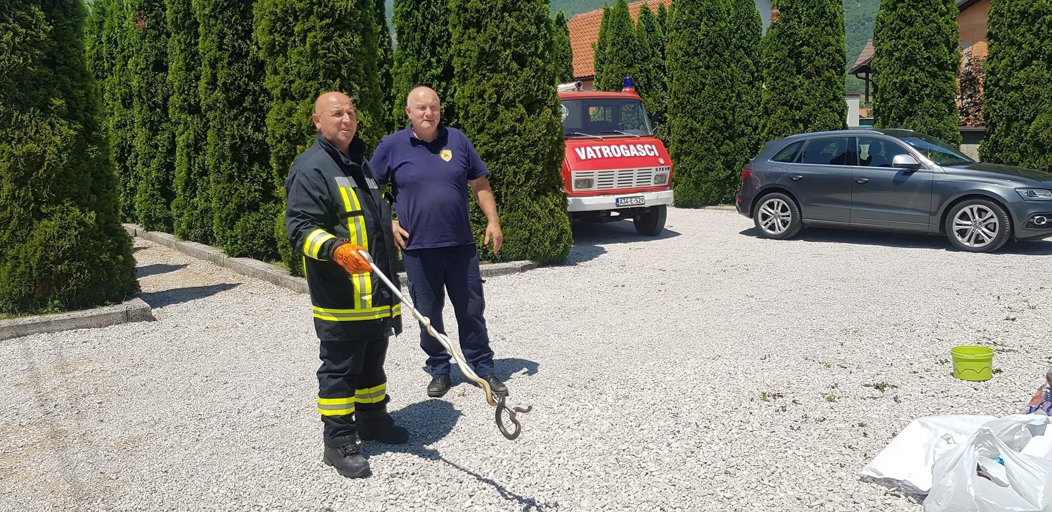 Vatrogasci uklonili zmiju iz kuće - Avaz