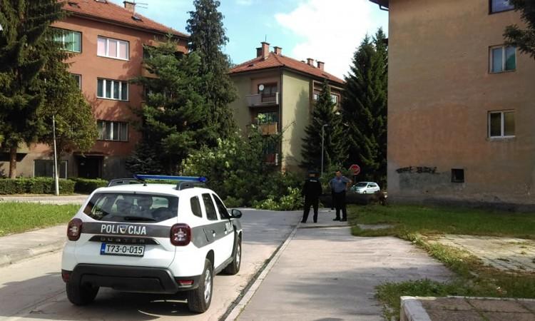 Brzom intervencijom policije istraga je pokazala da je riječ o maloljetnicima - Avaz