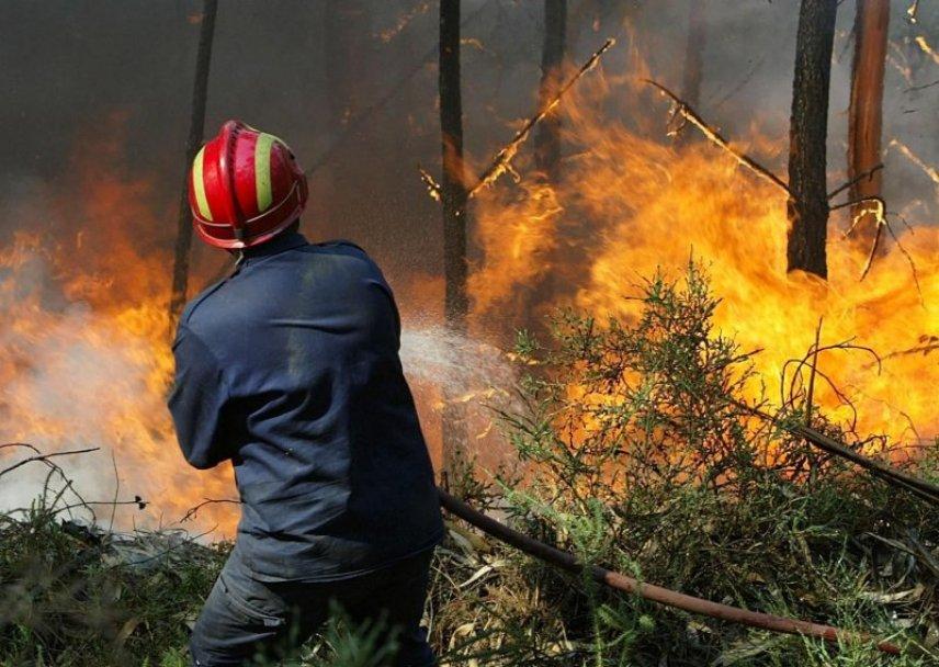 U Gabeli uhapšena osoba koja je izazvala požar i prijetila mještanima