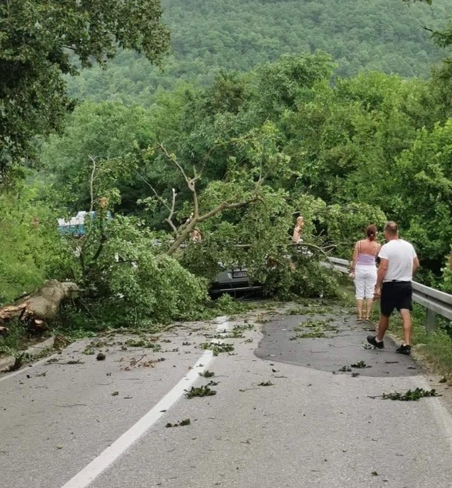 Sa lica mjesta - Avaz