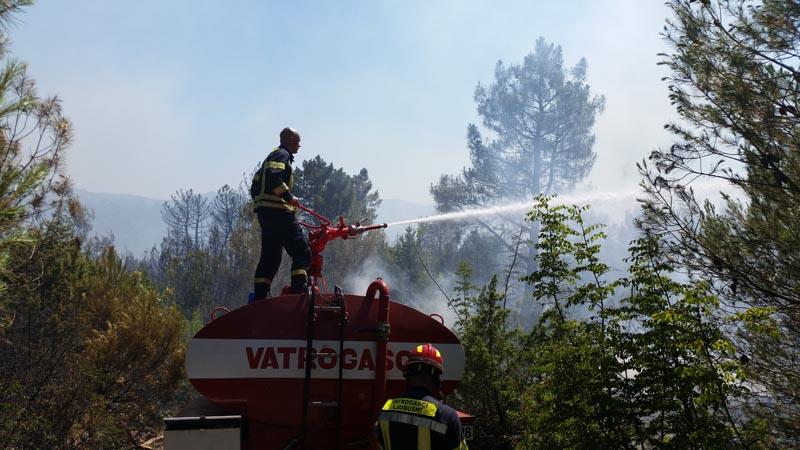 Veliki broj vatrogasaca na terenu - Avaz