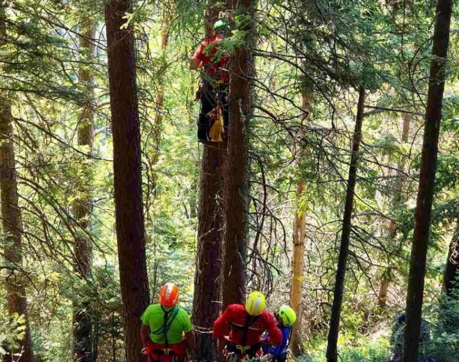 Akcija GSS-a Sarajevo: Pilot paraglajdera koji je završio na drvetu uspješno spušten i prevezen u hitnu